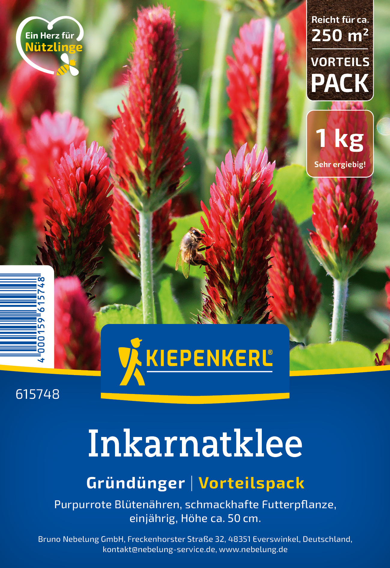 Rot blühende Blumen mit Biene auf der Pflanze, grüne Blätter im Hintergrund.