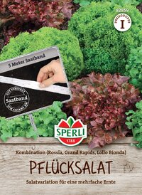 Blattsalat im Beet mit rotem und grünem Salat, Packung im Vordergrund, Text im Bild.