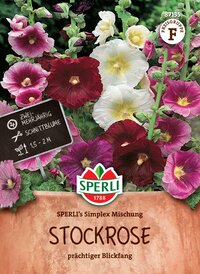 Bunte Stockrosen in verschiedenen Farben mit Pflanzzeichen und Label auf Erde geschützt, große Blüten.
