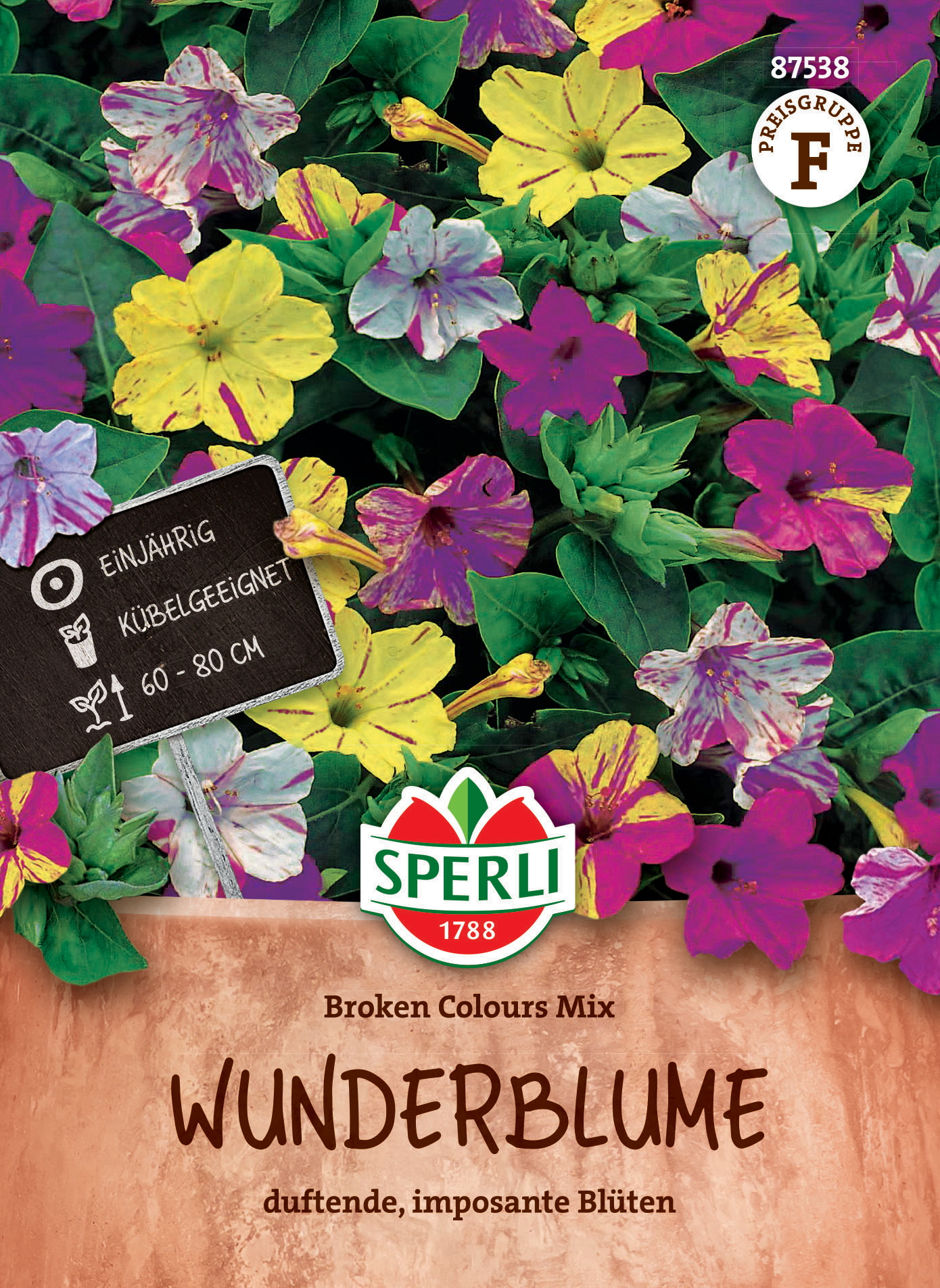 Bunte Wundertblumen im Topf, duftende, beeindruckende Blüten, geeignet für den Balkon, Jahresblumen, 60-80 cm hoch.