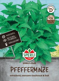 Pfefferminze im Topf mit Label, grüne Blätter, Markenname Sperli, Produktname Pfefferminze, Beschreibung erfrischend und intensiv.
