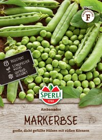 Große, dicht gefüllte Hülsen mit süßen Kernen, grüner Markerbse, auf Holzuntergrund, mit Shop-Logo im Bild.