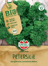 Petersilie mit aromatischen Blättern, bio, gefriergeeignet, frosthart, mehrfach ernte, auf Holzbildschirm.
