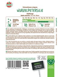 Wurzelpetersilie Halblange, weiß, dicke Wurzeln, orange-weiße Blätter, wächst im Januar bis Dezember.