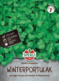 Grüner Winterportulak mit kleinen herzförmigen Blättern, im Hintergrund ein grau-texturiertes Label.