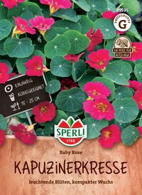 Hingucker der Kapuzinerkresse mit hellroten Blüten und runden Blättern, geeignet für Kästen, 15-25 cm hoch.