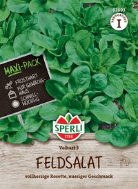 Pack mit frischem Feldsalat mit rosettenförmigen Blättern und nussigem Geschmack auf Holzuntergrund.