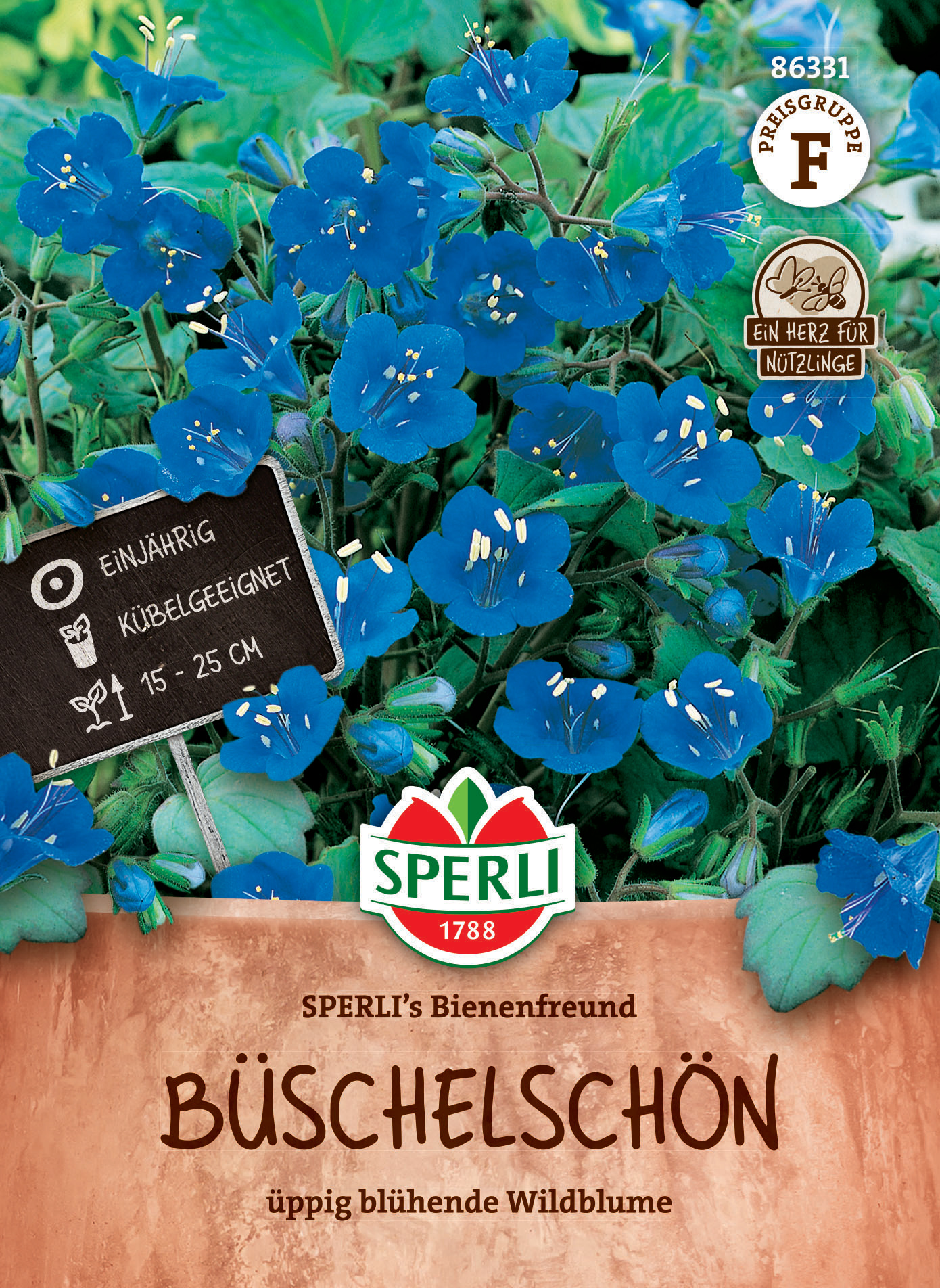 Büschelschön Wildblume in Blüte, blaue Blumen, circa 15-25 cm hoch, einjährig, k Ubel geeignet.