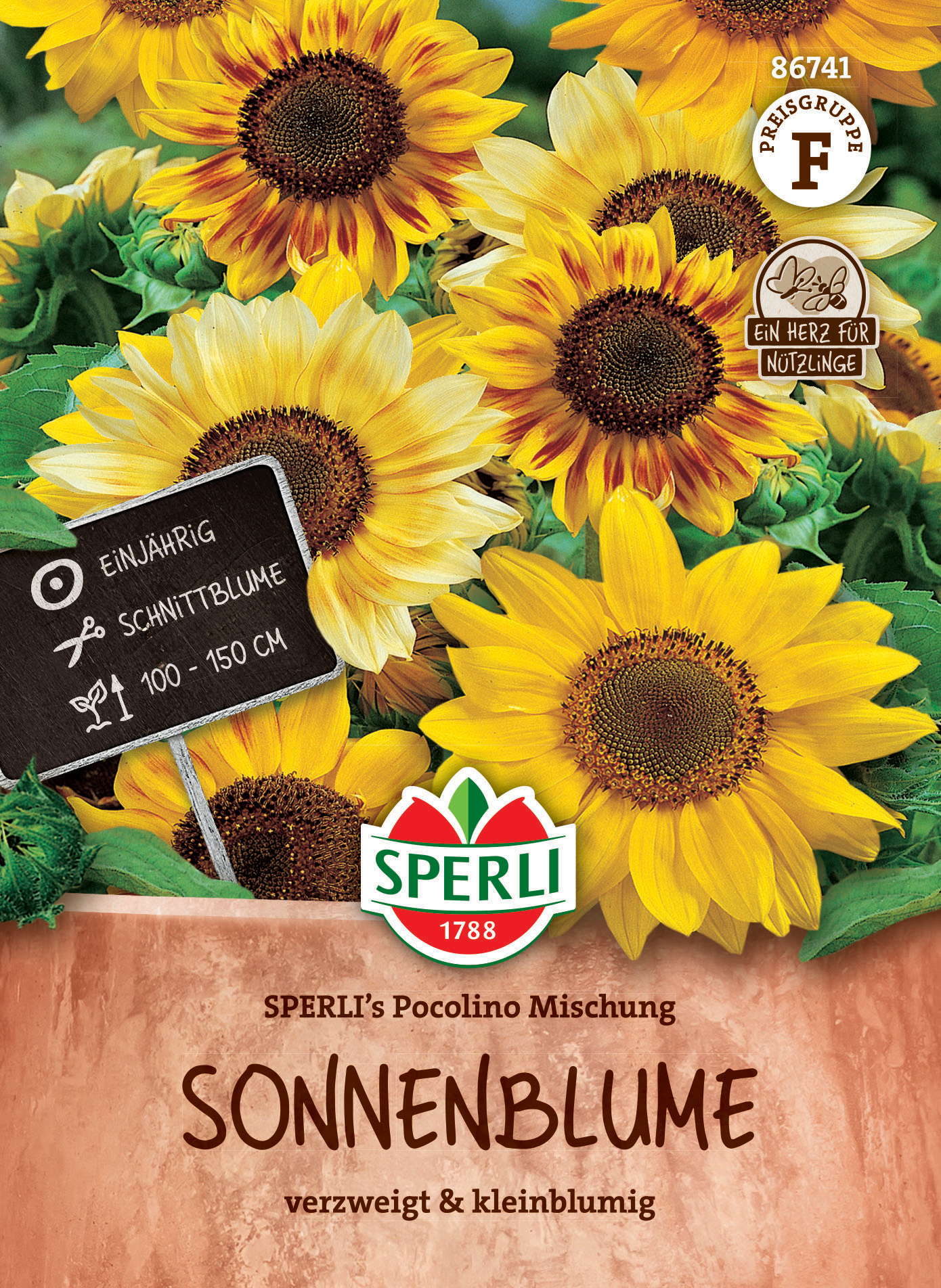 Sonnenblumen mit großen und kleinen Blüten, gelbe Blüten, ca. 100-150 cm hoch, einjährig, Schnittblume.