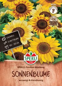 Sonnenblumen - Saatgut online bestellen