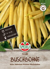 Gelbe Buschbohnen, ca. 13 cm lang, resistant, ideal für den Anbau, auf Erde gelegen, mit grünen Blättern.
