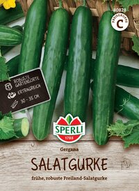 Gurken auf einem Holzbrett, mit einem Schild und einem Pflanzenhintergrund, Frühe, robuste Freiland-Salatgurke.