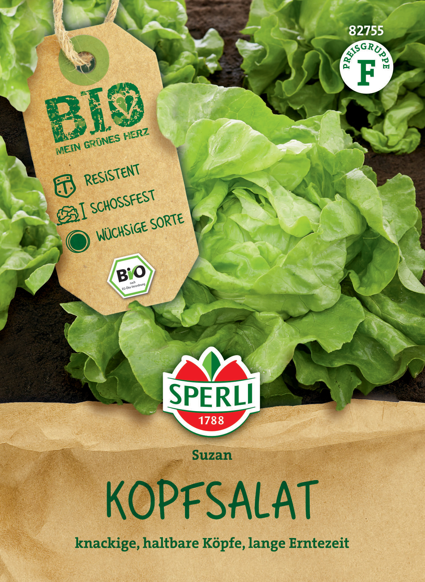 Kopf-Salat auf Erde, mit Bio-Label, grüner Blattsalat, fürgesunde Köpfe, lange Erntezeit.