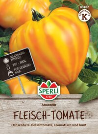 Gelbe Fleischtomate auf Pflanze mit grünen Blättern und Holzoptik Hintergrund.