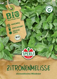 Sprüchl lemon balm auf einem Holzhintergrund, mit grünen Blättern und Bio-Label, Zitronenkraut, frisches Zitronen-Würzkraut.