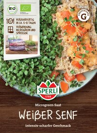 Frischer Microgreens-Saat auf Holztablett mit Beschreibung Weiße Senf, intensiver Geschmack.