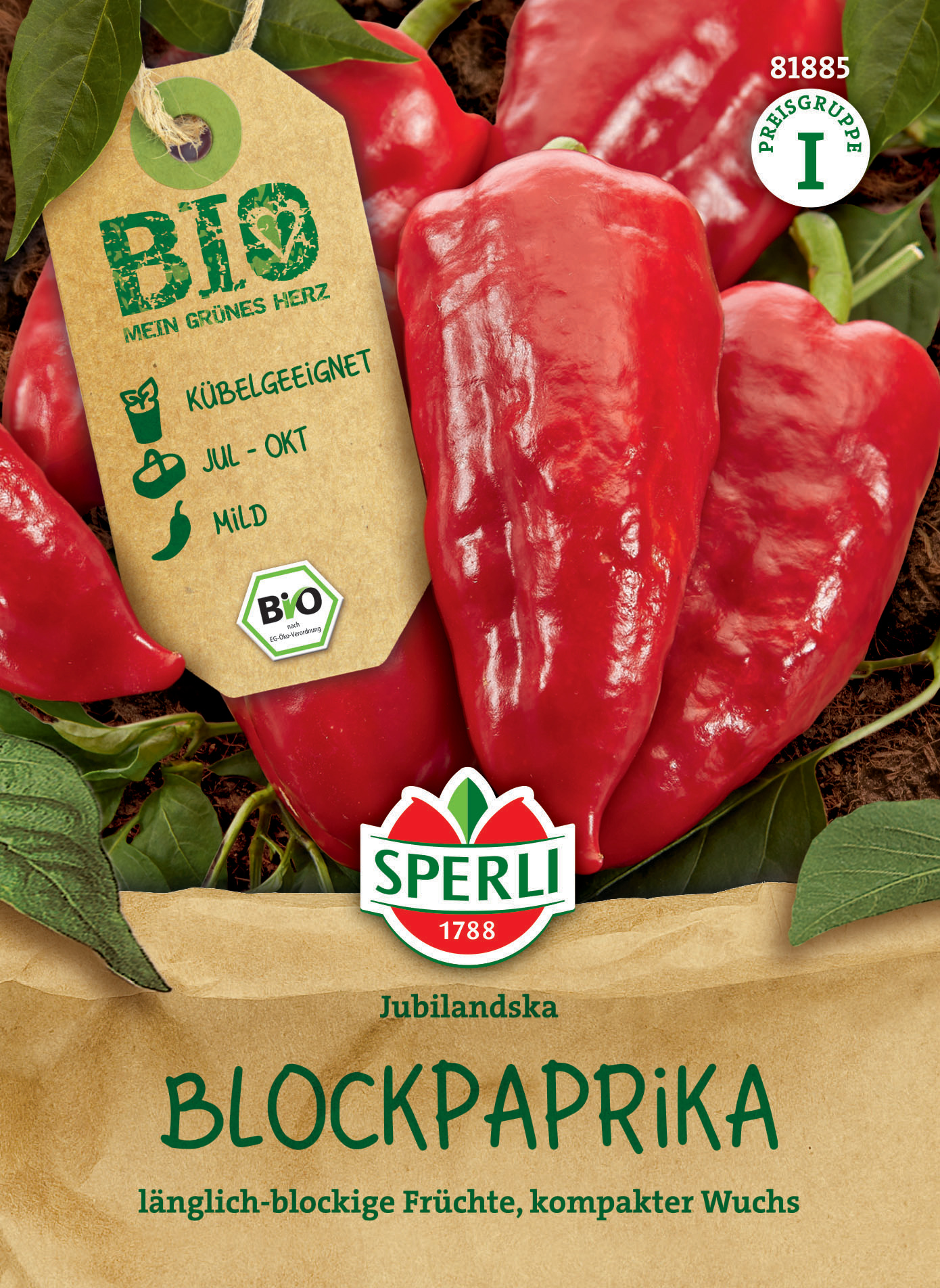 Rote Blockpaprika, länglich, kompakter Wuchs, auf Boden mit grünem Blätter, im Vordergrund.