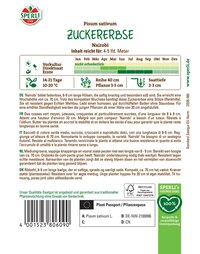 Nairobi Zuckerbse mit grünen, mittelgroßen Schoten, 8-9 cm lang, wächst auf Stütze, ohne Sonderzeichen.