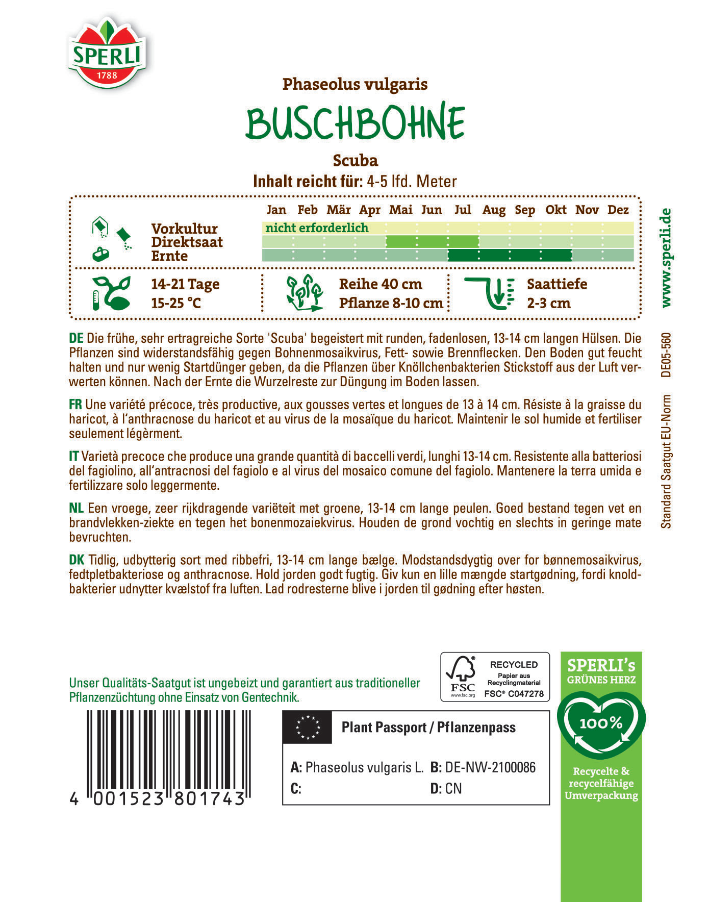 Buschbohne Pflanze, 13-14 cm Hohe, grüne Hülsen, für Garten auf Erde, resistent gegen Krankheiten.