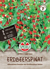 Kräuter- und Gemüseerde Erdbeerspinat mit roten Spanischen Gänseblümchen, aus Großmutters Zeiten