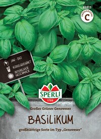 Große grüne Basilikum-Pflanzen mit Stickern, die Pflegehinweise auf Deutsch anzeigen.