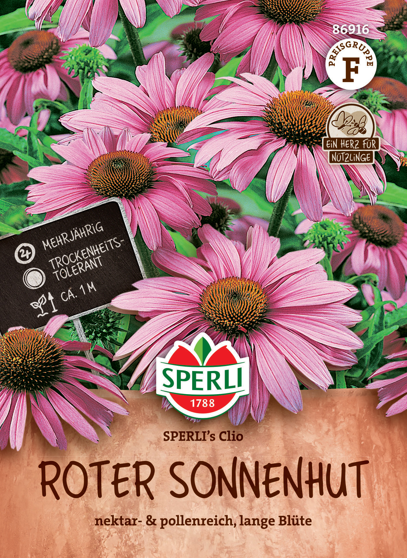 Rote Sonnenhutblüten mit dunkelbraunem Zentrum, grüne Blätter im Hintergrund