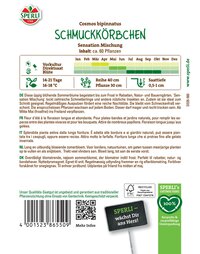 Pflanze mit kleinen Blüten, wächst im März bis Mai, blüht lange, 14-21 Tage, 16-18 °C.