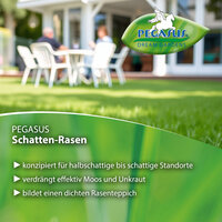 Pegasus Schatten-Rasen, für halbschattige bis schattige Standorte, verdrängt Moos und Unkraut, bildet dichten Rasen.