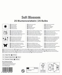 Mega-Pack Blumenzwiebelmischung Soft Blossom Mix
