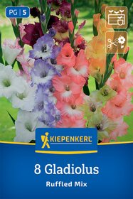 Gladiole Ruffeld Mix