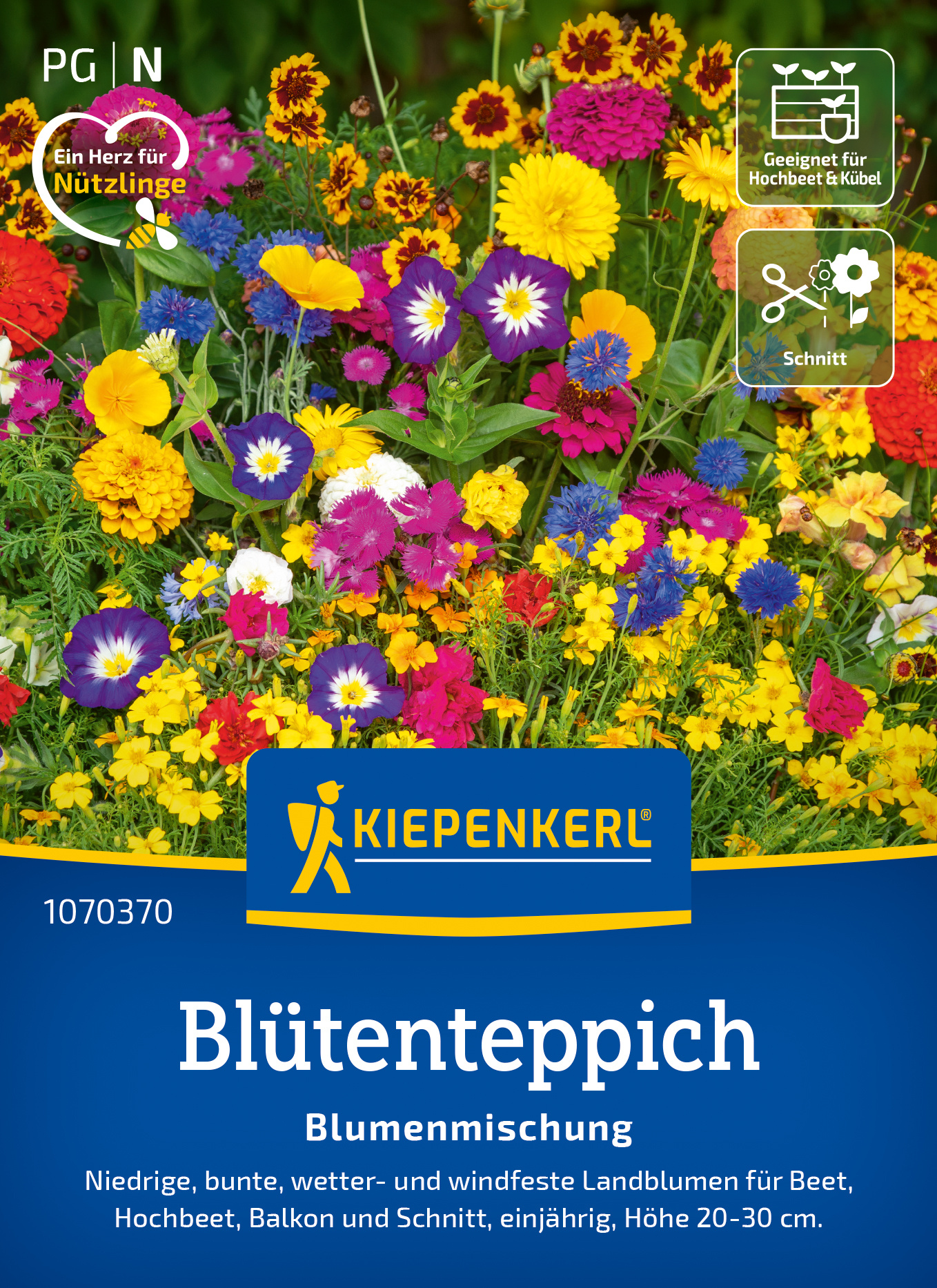 Bunte Blumenmischung mit verschiedenen einjährigen Stauden für Balkon, Hochbeet, Kübel und Schnitt.