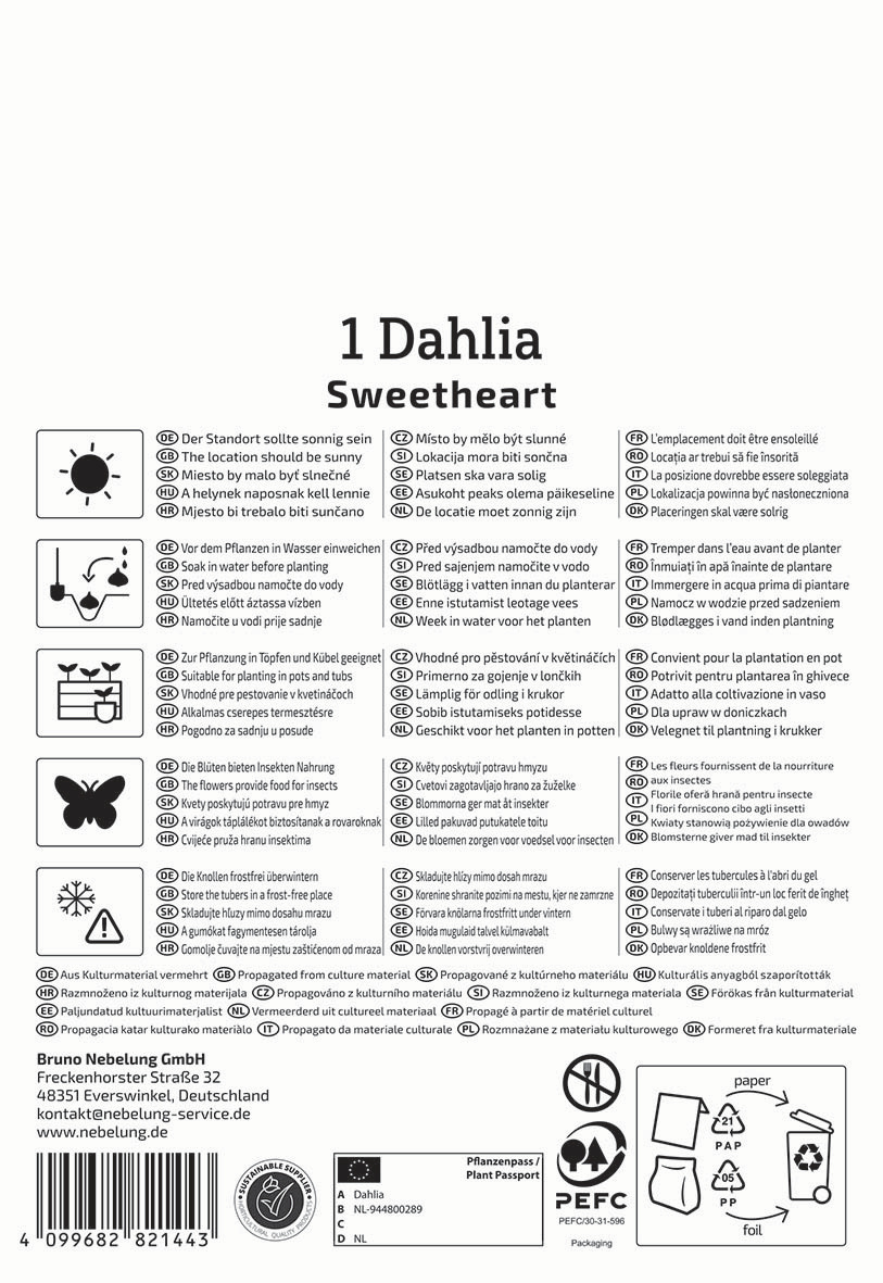 Anleitungssymbole für Wasser, Pflanzung, Insekten, Frost, Propagation und recycling, Text in mehreren Sprachen.