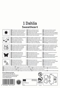 Anleitungssymbole für Wasser, Pflanzung, Insekten, Frost, Propagation und recycling, Text in mehreren Sprachen.