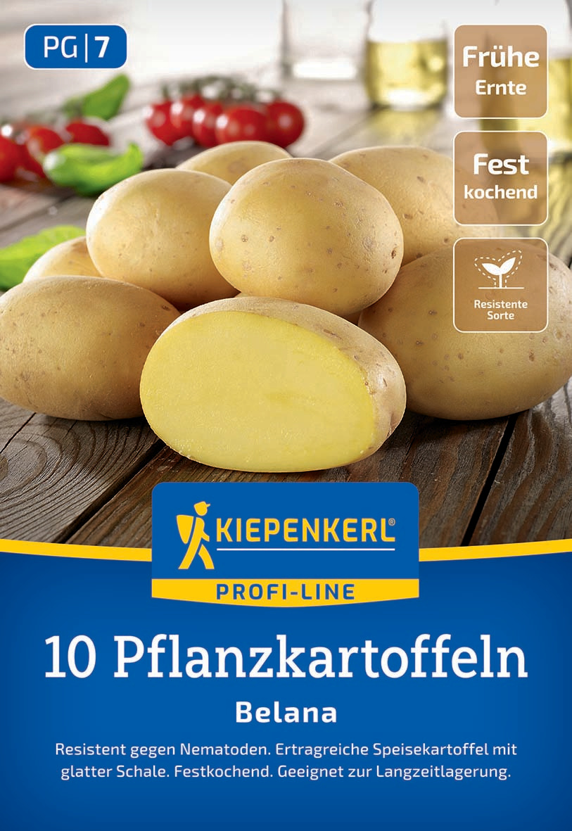 Haufen gelber Pflanzkartoffeln auf Holzbrett mit Tomaten und Basilikum im Hintergrund.