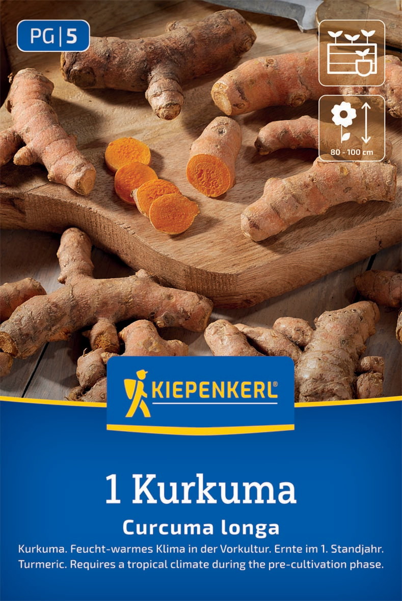 Kurkuma Curcuma longa