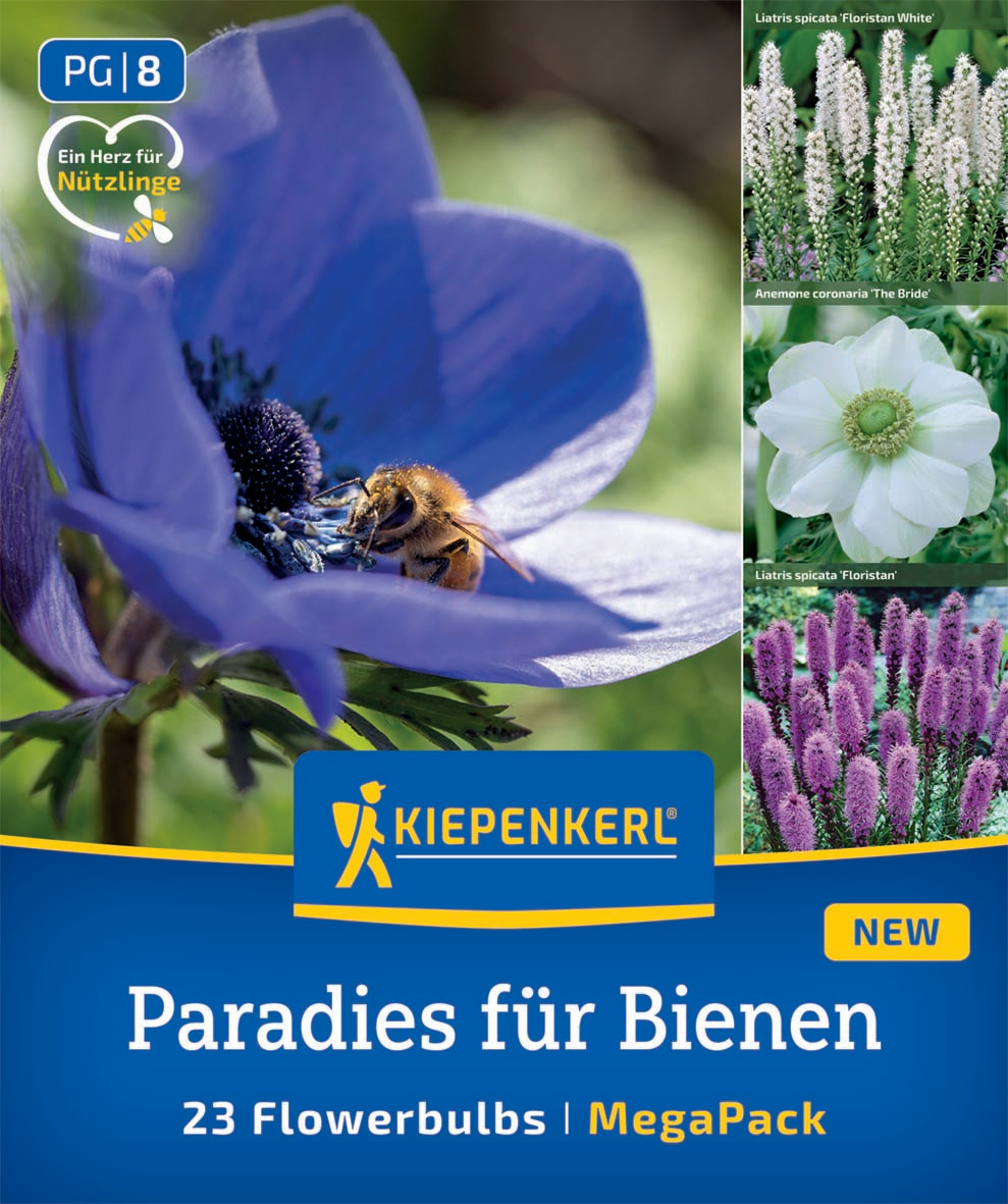 Biene on a blue flower with dark center, three smaller flower images on right side including white and purple flowers.