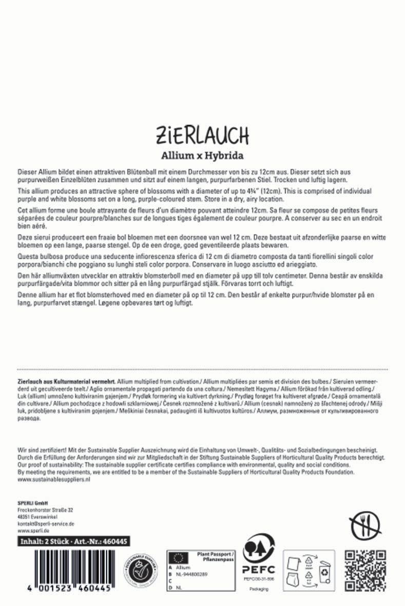 Zierlauch Summer Drummer