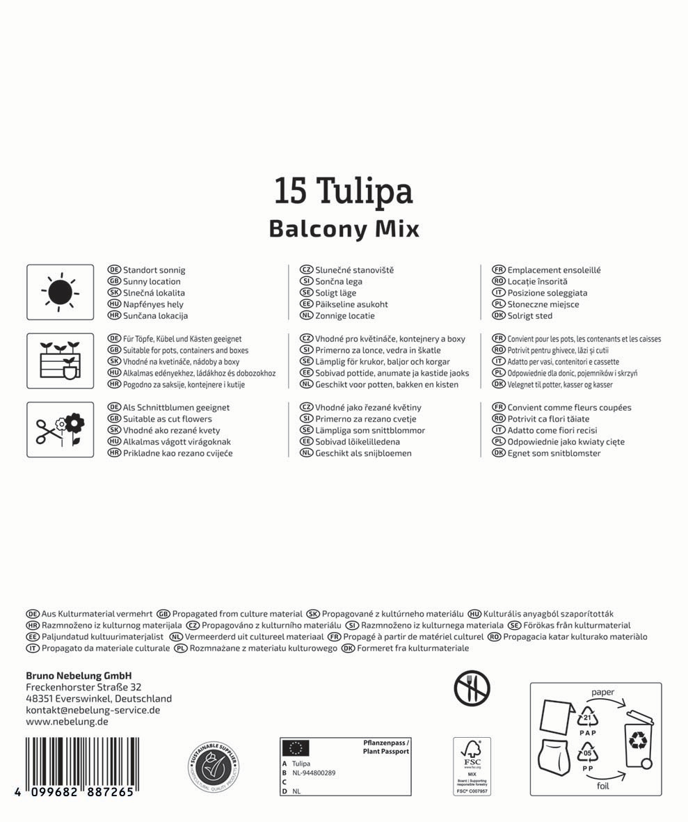 Mega-Pack Botanische Tulpen Balkonzauber Mischung