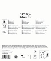 Mega-Pack Botanische Tulpen Balkonzauber Mischung