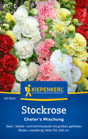 Stockrosensamen kaufen