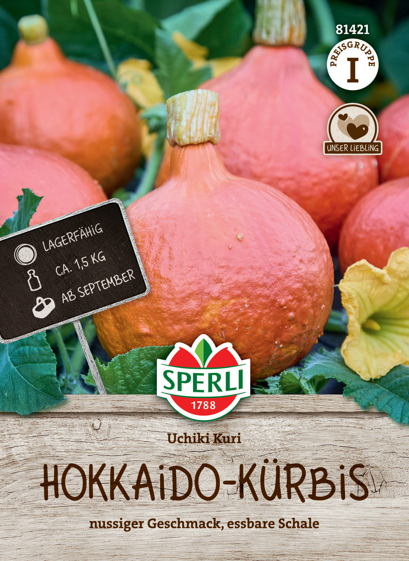 Kürbissamen Uchiki Kuri